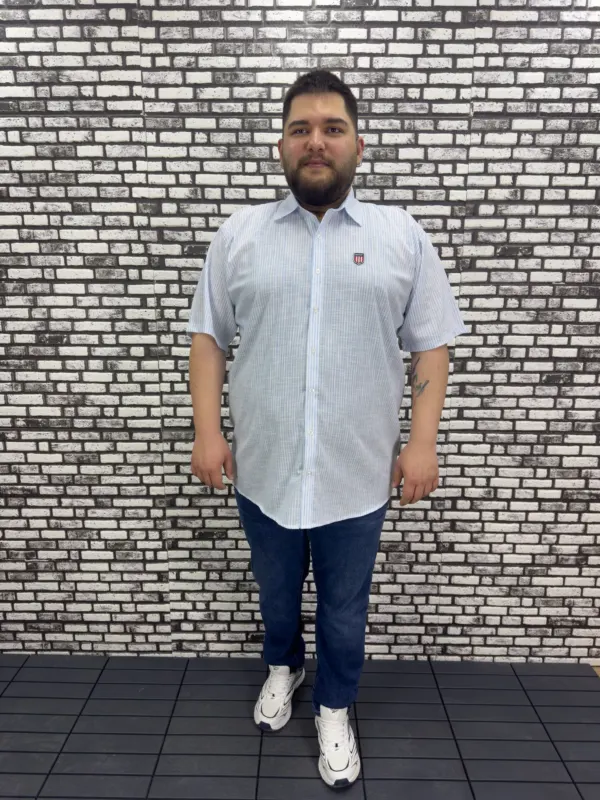 Büyük Beden Yeni Sezon Mavi Çizgili Keten Kısa Kol Gömlek