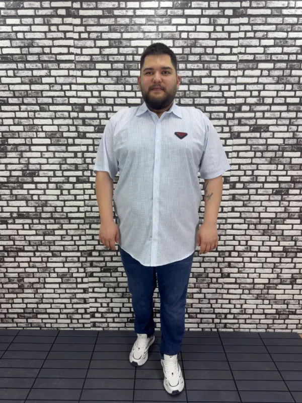 Büyük Beden Yeni Sezon Mavi Çizgili Keten Kısa Kol Gömlek