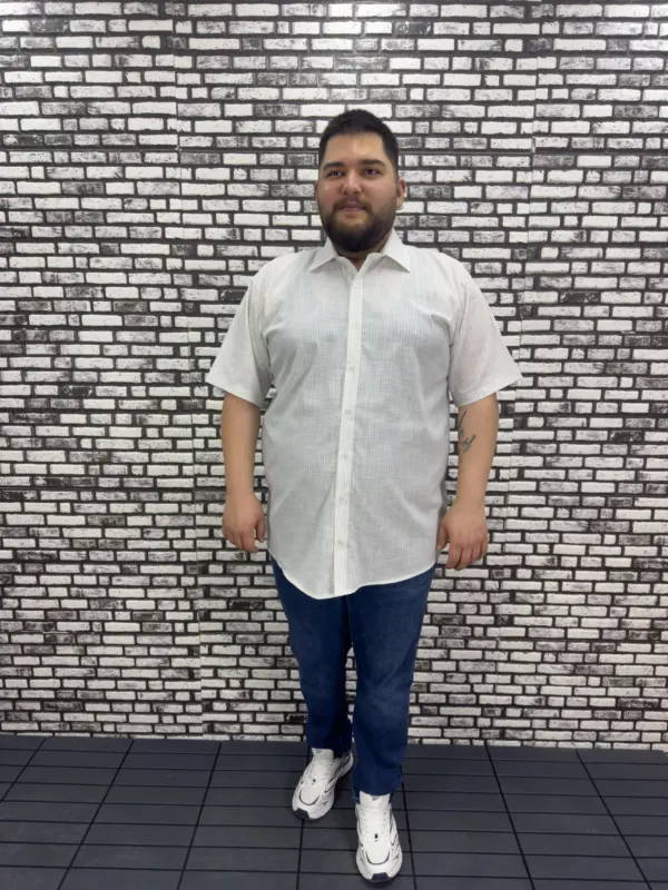 Büyük Beden Yeni Sezon Gri Çizgili Keten Kısa Kol Gömlek