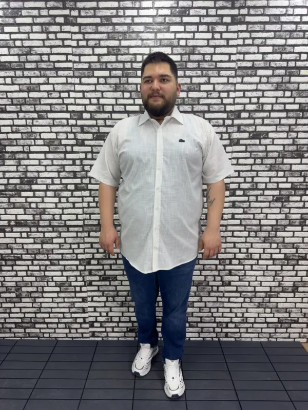 Büyük Beden Yeni Sezon Gri  Çizgili Keten Kısa Kol Gömlek