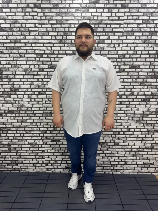 Büyük Beden Yeni Sezon Gri Çizgili Keten Kısa Kol Gömlek