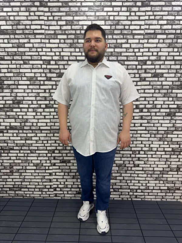 Büyük Beden Yeni Sezon Gri Çizgili Keten Kısa Kol Gömlek